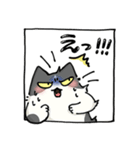 二足歩行の野良猫（個別スタンプ：17）