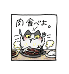 二足歩行の野良猫（個別スタンプ：24）