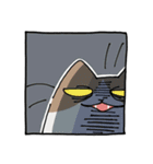 二足歩行の野良猫（個別スタンプ：27）