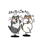 二足歩行の野良猫（個別スタンプ：28）