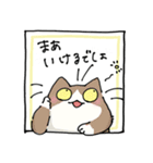 二足歩行の野良猫（個別スタンプ：29）