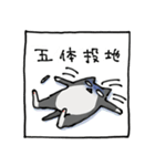 二足歩行の野良猫（個別スタンプ：30）