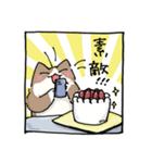 二足歩行の野良猫（個別スタンプ：31）