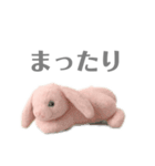 ほんわか ウサギの日常（個別スタンプ：2）