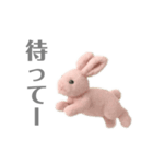 ほんわか ウサギの日常（個別スタンプ：5）