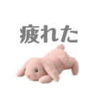 ほんわか ウサギの日常（個別スタンプ：8）