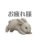 ほんわか ウサギの日常（個別スタンプ：12）