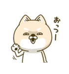 シバイヌーン13（個別スタンプ：6）