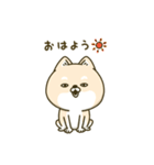 シバイヌーン13（個別スタンプ：13）
