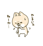 シバイヌーン13（個別スタンプ：20）