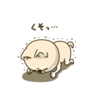 シバイヌーン13（個別スタンプ：23）