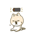 シバイヌーン13（個別スタンプ：24）