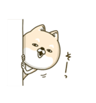 シバイヌーン13（個別スタンプ：25）