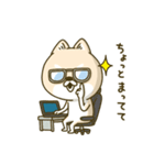 シバイヌーン13（個別スタンプ：31）