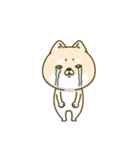 シバイヌーン13（個別スタンプ：36）