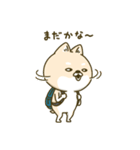 シバイヌーン13（個別スタンプ：37）
