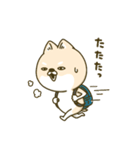 シバイヌーン13（個別スタンプ：38）