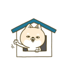 シバイヌーン13（個別スタンプ：39）
