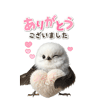 毎日使える♪リアルなシマエナガちゃん（個別スタンプ：4）