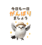 毎日使える♪リアルなシマエナガちゃん（個別スタンプ：6）