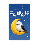 毎日使える♪リアルなシマエナガちゃん（個別スタンプ：10）