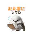 毎日使える♪リアルなシマエナガちゃん（個別スタンプ：11）