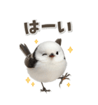 毎日使える♪リアルなシマエナガちゃん（個別スタンプ：12）
