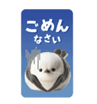 毎日使える♪リアルなシマエナガちゃん（個別スタンプ：13）