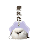 毎日使える♪リアルなシマエナガちゃん（個別スタンプ：14）