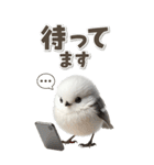毎日使える♪リアルなシマエナガちゃん（個別スタンプ：15）