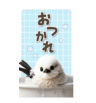 毎日使える♪リアルなシマエナガちゃん（個別スタンプ：18）