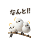 毎日使える♪リアルなシマエナガちゃん（個別スタンプ：21）