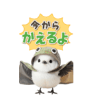 毎日使える♪リアルなシマエナガちゃん（個別スタンプ：23）