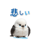 毎日使える♪リアルなシマエナガちゃん（個別スタンプ：27）