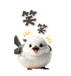 毎日使える♪リアルなシマエナガちゃん（個別スタンプ：28）