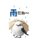 毎日使える♪リアルなシマエナガちゃん（個別スタンプ：32）