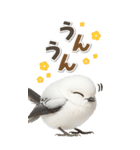 毎日使える♪リアルなシマエナガちゃん（個別スタンプ：36）