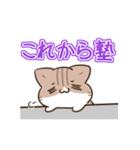 動く！毎日五月病なねこたち＆ちいさい（個別スタンプ：13）