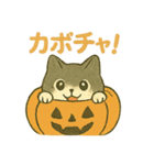 ハロウィン猫パーティ2 日常多め（個別スタンプ：2）