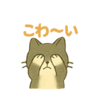 ハロウィン猫パーティ2 日常多め（個別スタンプ：7）