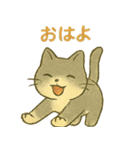 ハロウィン猫パーティ2 日常多め（個別スタンプ：23）