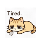 ネガティブねこのスタンプ（個別スタンプ：1）