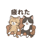 ネガティブねこ2匹スタンプ（個別スタンプ：1）
