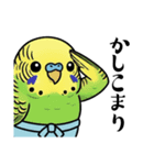力士ちゃんのスタンプ3（個別スタンプ：25）