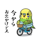 力士ちゃんのスタンプ3（個別スタンプ：39）