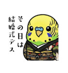 力士ちゃんのスタンプ3（個別スタンプ：40）