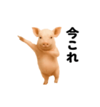踊る！今これブタ（個別スタンプ：1）