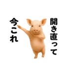 踊る！今これブタ（個別スタンプ：8）