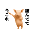 踊る！今これブタ（個別スタンプ：13）
