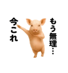 踊る！今これブタ（個別スタンプ：14）